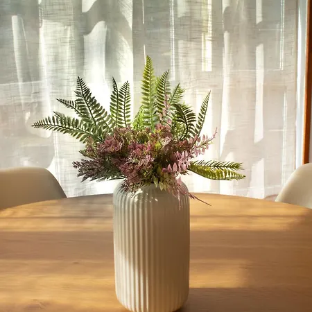 A Paradiña De Apartamento